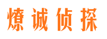 璧山市场调查